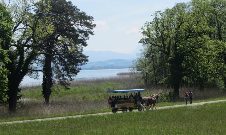 Seecafe Toni Am Chiemsee